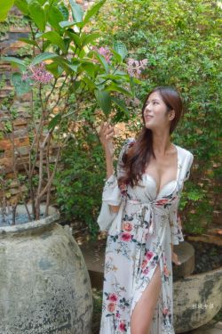 与凤行电视剧免费观看全集完整版