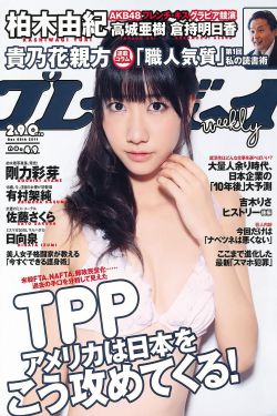 风月俏佳人在线观看