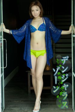 熊出没之探险日记